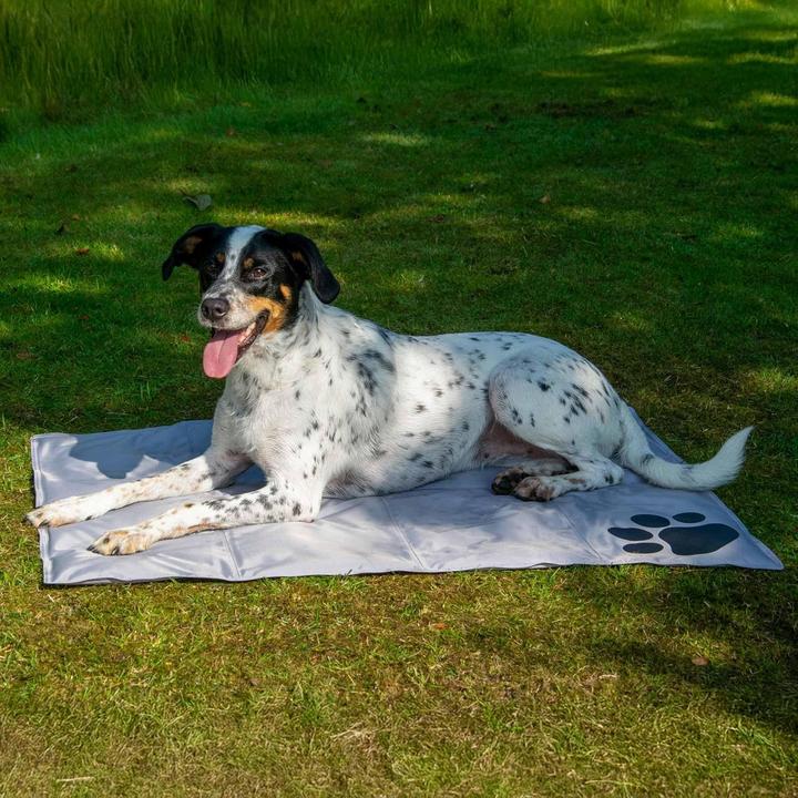 Image du produit Dobar Tapis de refroidissement (Chien)