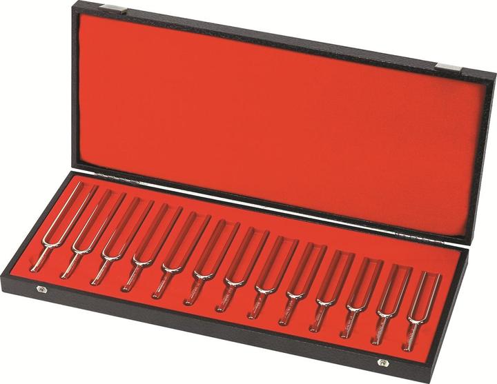 Produktbild Wittner Stimmgabelsatz