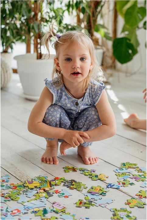 Produktbild Dodo Schweiz (100 Teile)