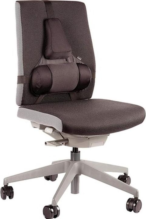 Immagine prodotto Fellowes Supporto per la schiena Professional, nero