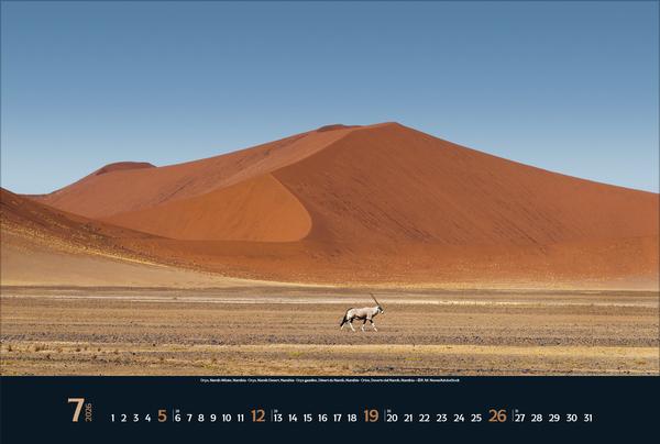 Produktbild Wilde Tiere - weite Landschaft 2026