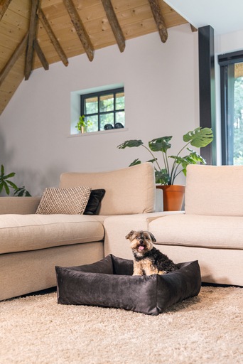 Image du produit Designed by Lotte Lit de repos Ribbed (Chien)