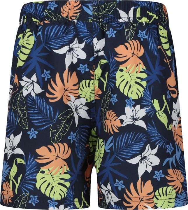 Produktbild Regatta Skander II Kurze Hose