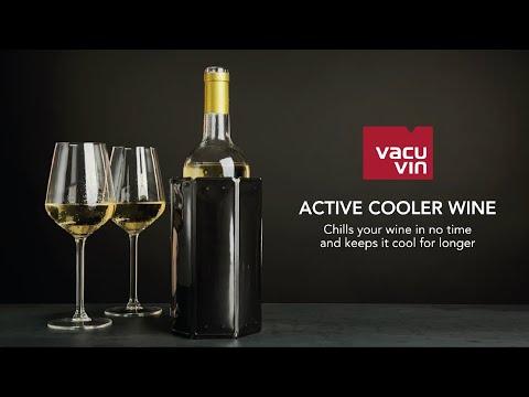 Immagine prodotto Vacu Vin Raffreddatore per champagne