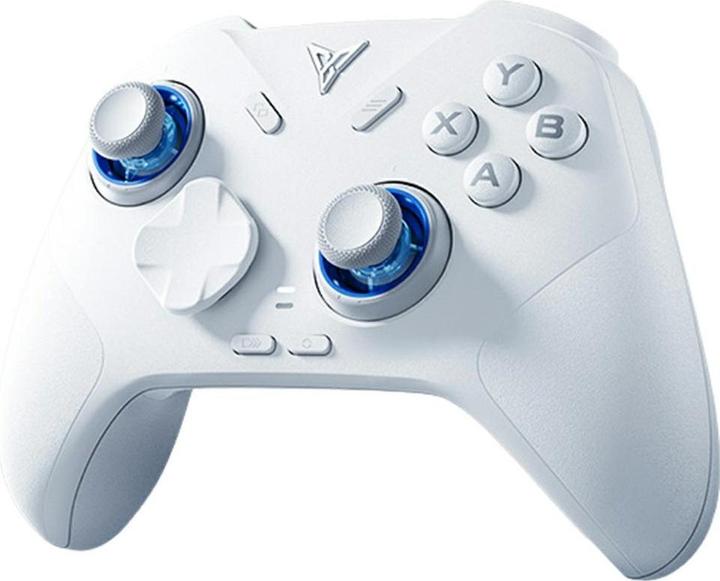 Actual product image Flydigi Universal controller for games Bluetooth DIREWOLF 4 white