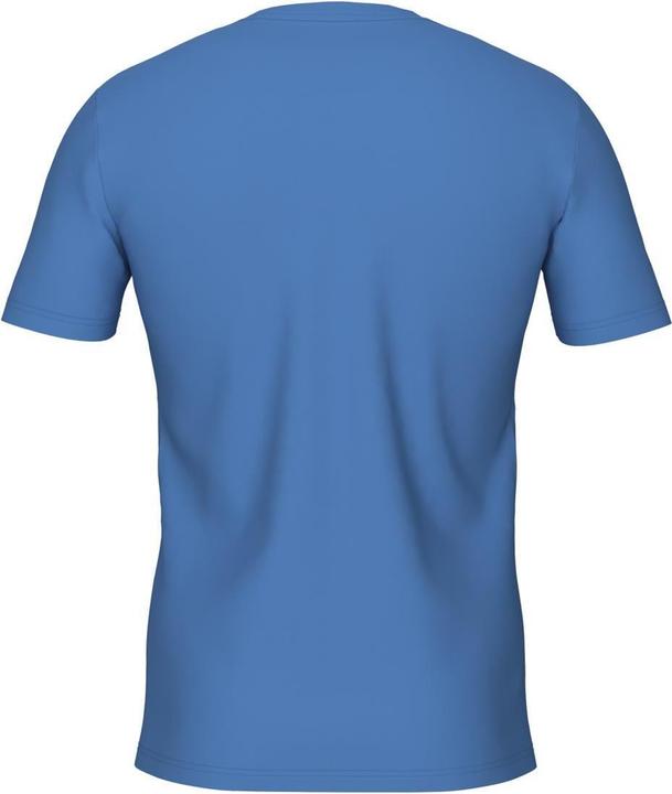 Actual product image Arena M T-Shirt Team (L)