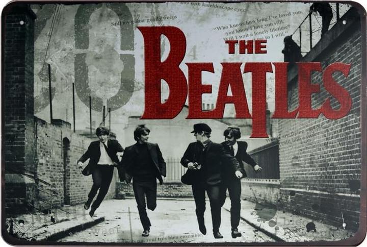 Immagine prodotto Bate Quadro in metallo 30x20 Art:15022