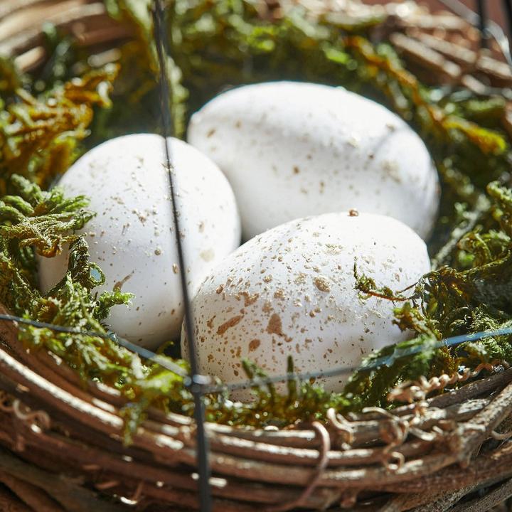 Image du produit Loberon Nid avec oeufs Set de 4 Trista brun/blanc