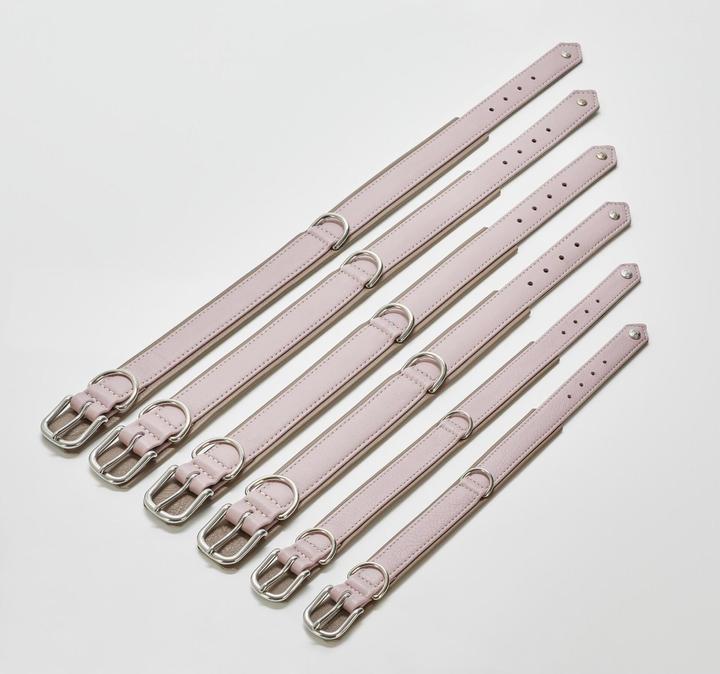 Image du produit Laboni Collier Nappa Amici M (M, Chien, Général)
