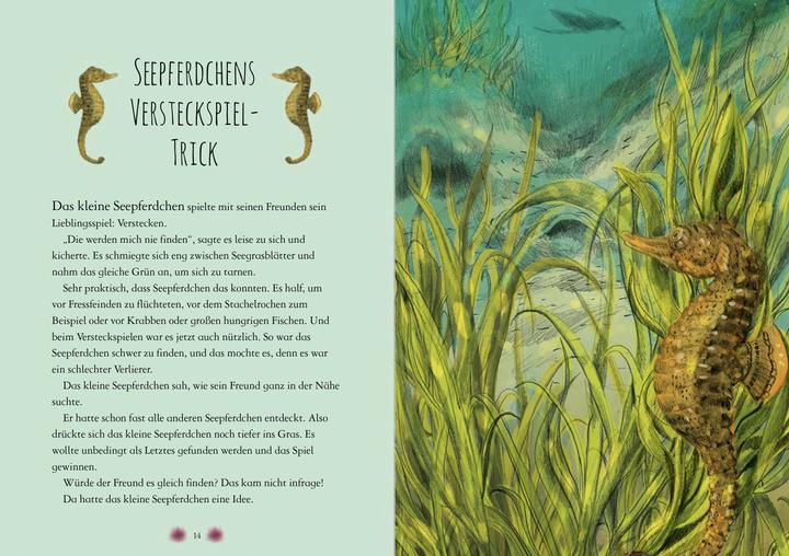Actual product image Wonderful world of animals in the sea - read by Jakob Graf (Chae Strathie, German)