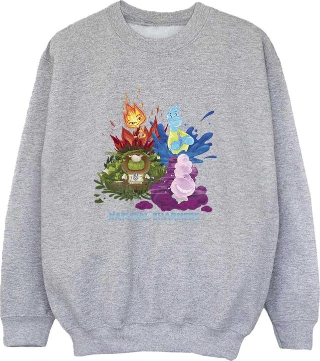 Image du produit - Sweat NATURAL CHARMERS - Garçon (116)