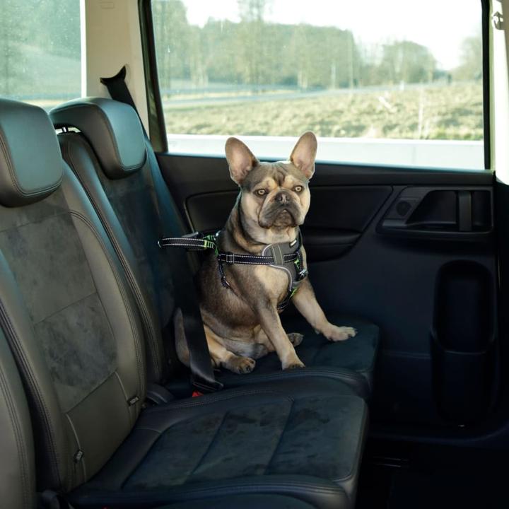 Produktbild Kerbl Autosicherheitsgeschirr (Hund, Faltbar, Sicherheitsverschluss)