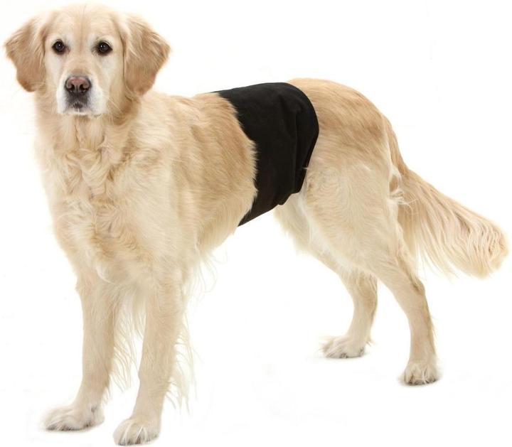 Actual product image Karlie Gentleman Wraps Plus (M, Dog overalls)