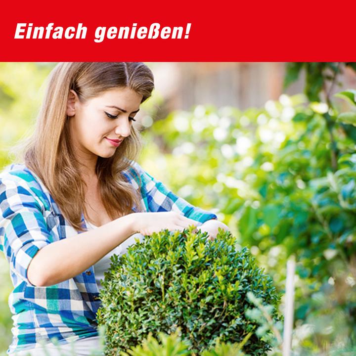 Productafbeelding Swissinno Pheromonkapseln 2er für Buchbaumzünsler-Falle
