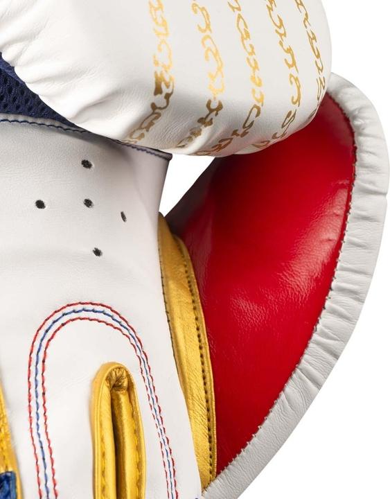 Actual product image Phantom Athletics Muay Thai Boxhandschuhe (14 OZ, One size)