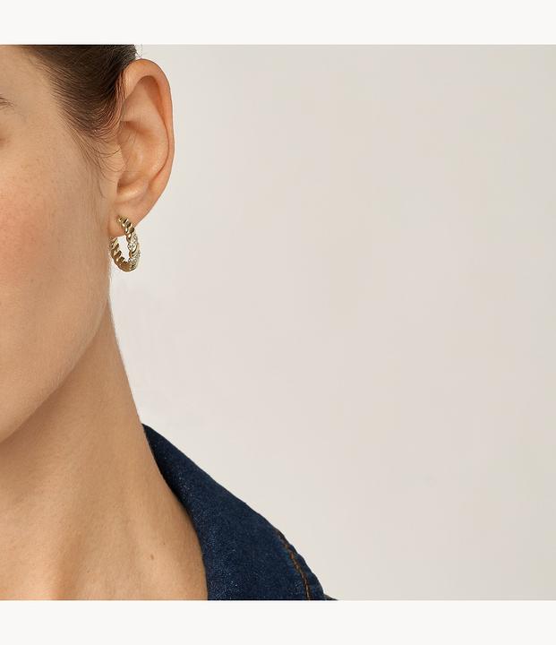 Image du produit Fossil Bijoux Boucles d'oreilles (Acier inoxydable)