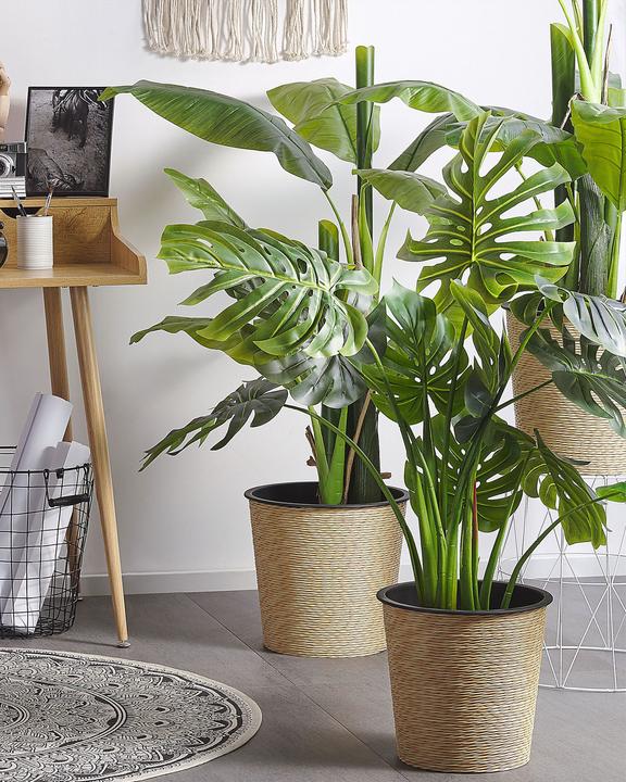 Immagine prodotto Beliani Monstera Plant (113 cm)