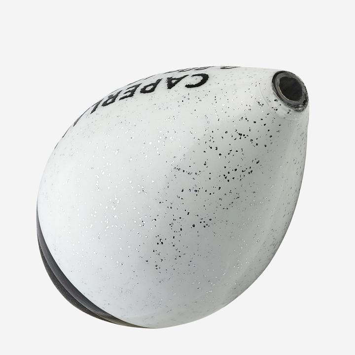 Actual product image Caperlan Float carp 2-pack