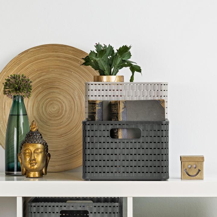 Immagine prodotto Rotho Country (37 x 28 x 19,5 cm, 18 l)