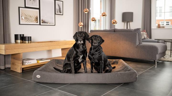 Immagine prodotto Sabro Letto per cani Kudde Suede Look (Cane)