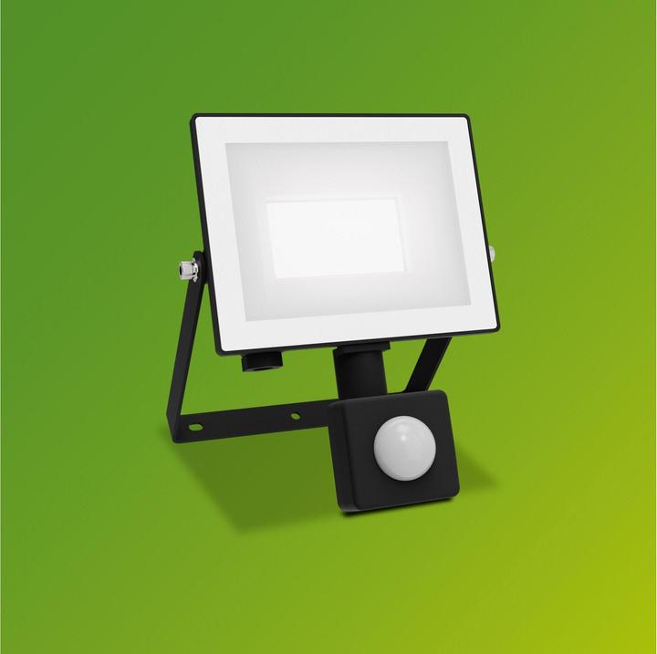 Actual product image Philips Outdoor Flutlicht Lois (1900 lm, IP65)
