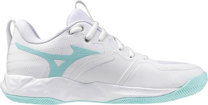 Actual product image Mizuno Wave Momentum Pro (42.5)