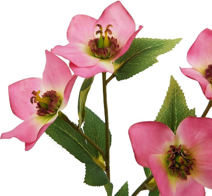 Produktbild Hill Interiors Kunstblume (47 cm)