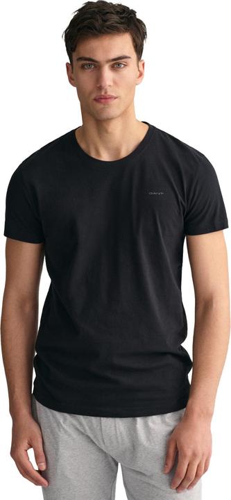 Actual product image GANT C-NECK T-SHIRT 2-PACK (L)