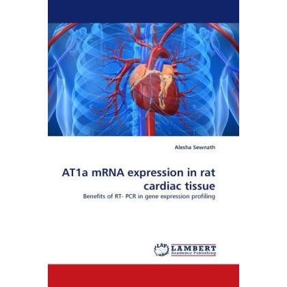 AT1a mRNA expression in rat cardiac tissue, Fachbücher von Alesha Sewnath