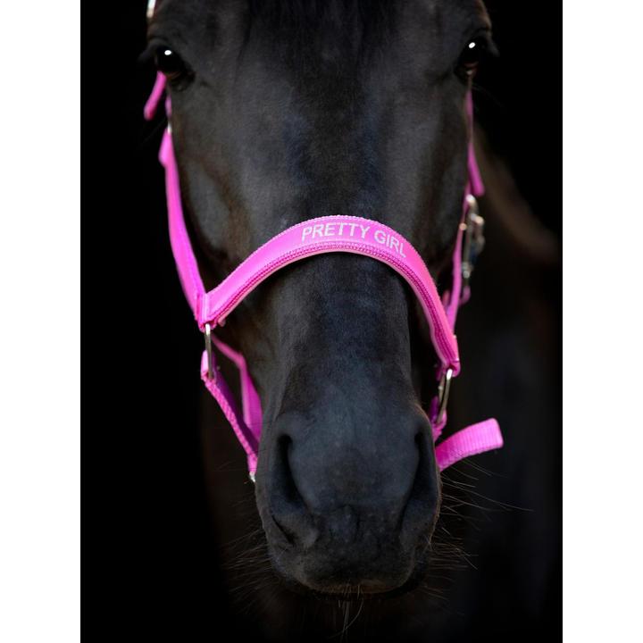 Immagine prodotto Horse Guard Malva halter