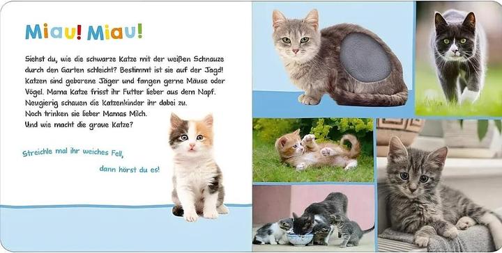 Actual product image Listen, who could that be? Pets (German)