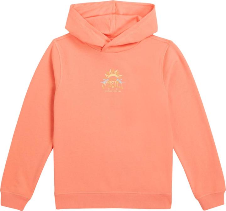 Produktbild O'Neill Kapuzenpullover (164)