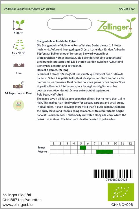 Actual product image Zollinger Bio Runner bean, half-high runner (runner bean) (Seedlings)