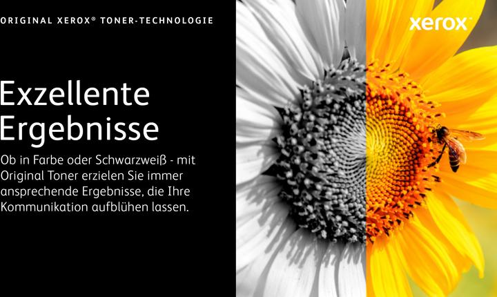 Produktbild Xerox 106r03622 (BK)