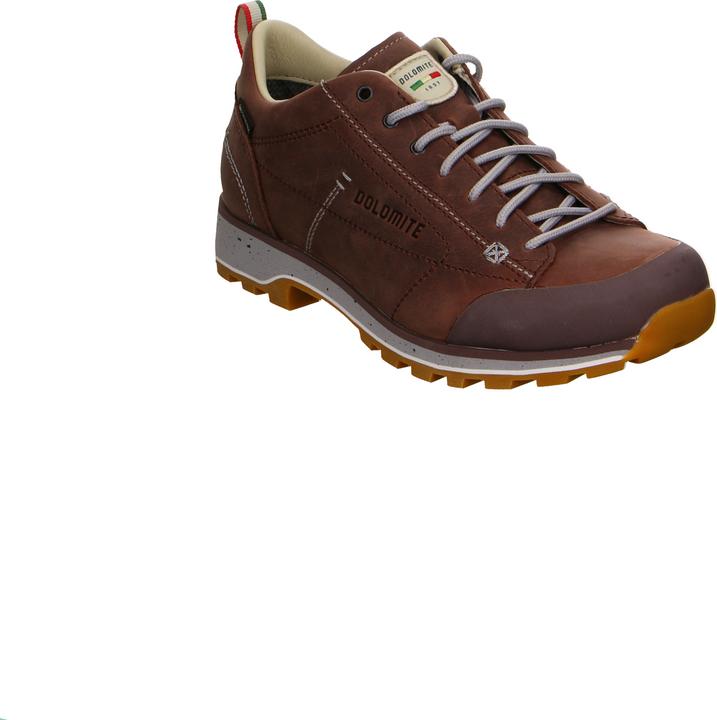 Actual product image Dolomite 54 Low FG Evo GORE-TEX (39.5)