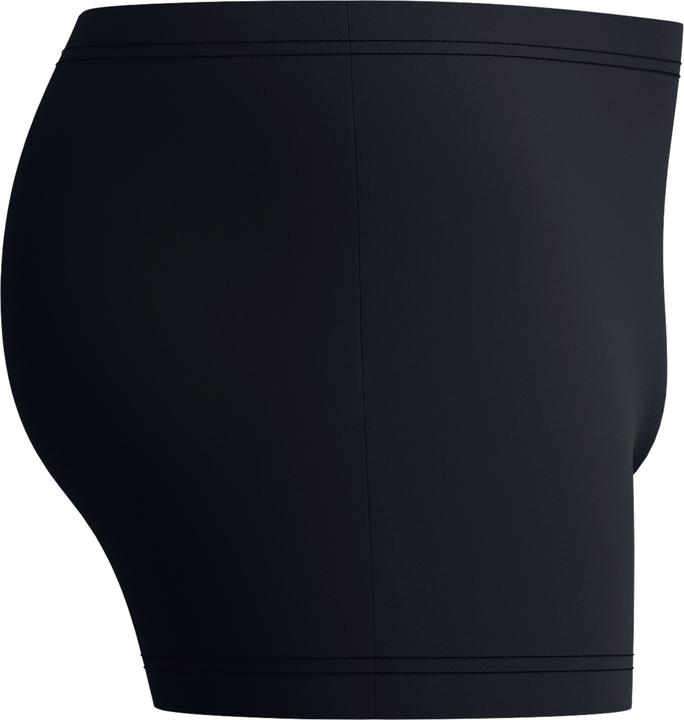 Actual product image Speedo Medley Logo Aquashort (5)