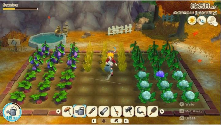 Actual product image Marvelous Story of Seasons: Grand Bazaar NSW2 (Switch 2, DE)
