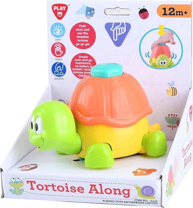 Actual product image PlayGo Tortoise along 2445