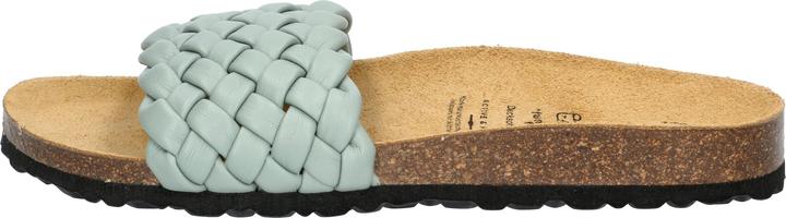 Image du produit Lico Bioline Plait (41)