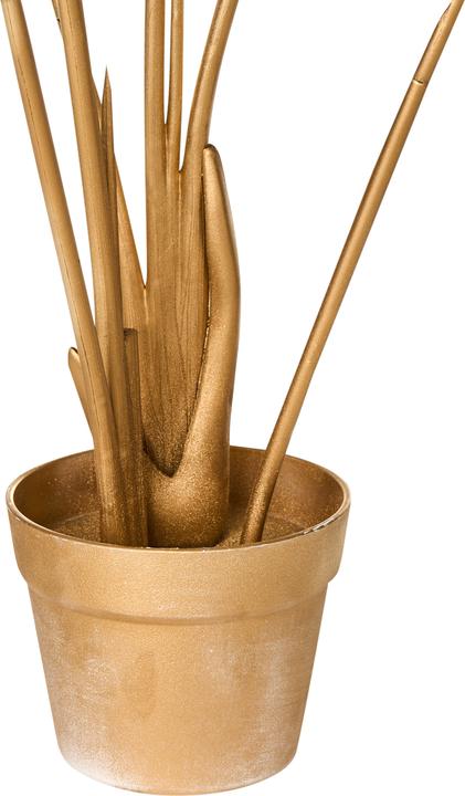 Immagine prodotto Beliani Banana Tree (123 cm)