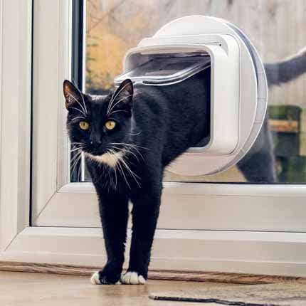 Actual product image SureFlap Connect (Microchip Cat Flap)