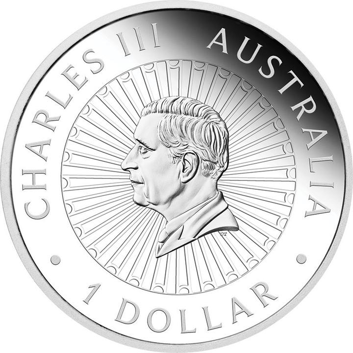 Actual product image The Perth Mint Silber Great Southern Land 1 oz PP - Snakeskin-Jaspis-Münze (1.00, 2025)