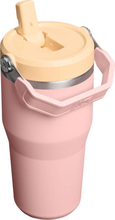 Actual product image Stanley 1913 IceFlow Flip Straw Becher (0.59 l)