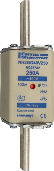 Actual product image Mersen NH fuse link (63 A)