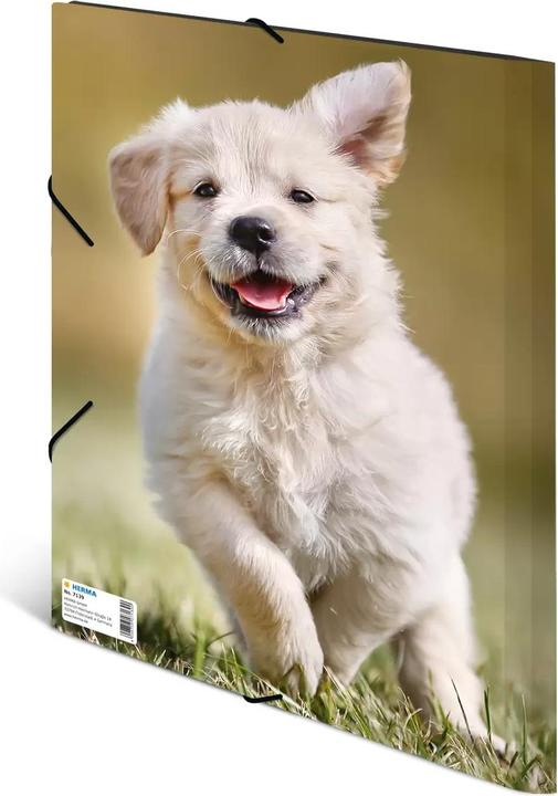 Image du produit HERMA Porte-documents A4 Motif (A4, 1 x)