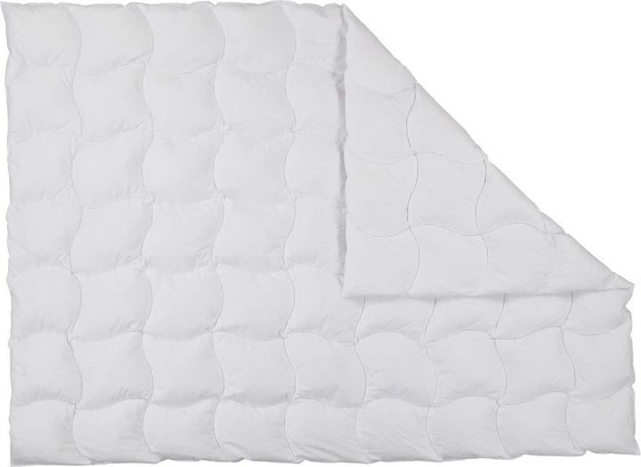 Produktbild Albis Leggero Arven (590 g, 200 x 210 cm)