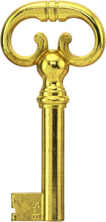 Magni JuNie sleutel nr. 0339 IC 8x6 40 mm meet. (Profielcilinder)