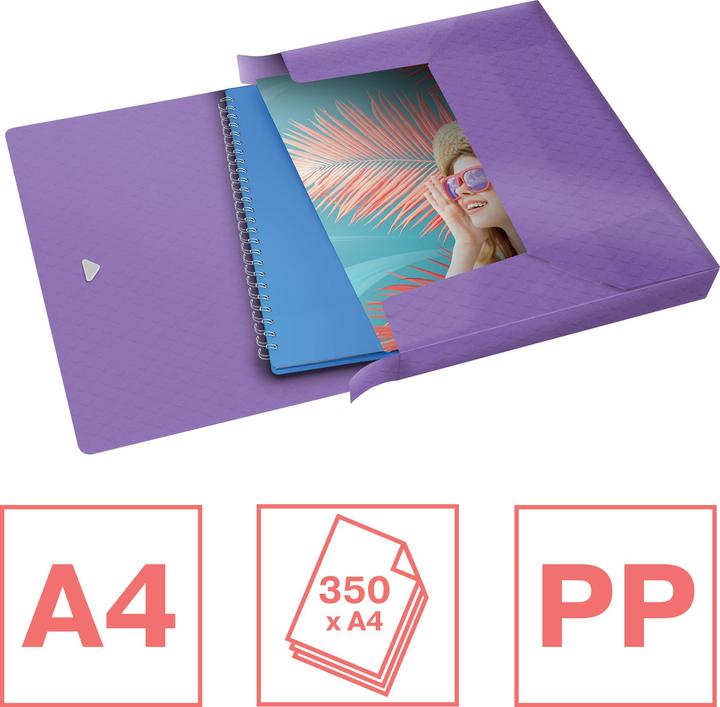 Actual product image Esselte Colour'Breeze (A4, 1 x)