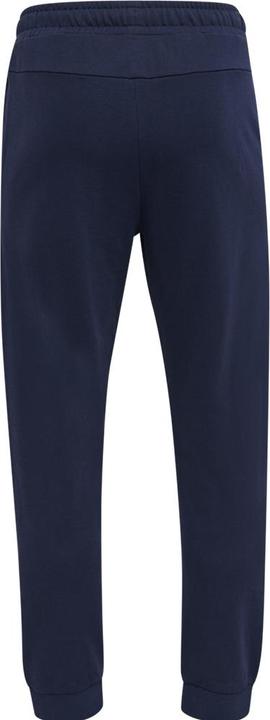 Actual product image hummel Ic Dayton Regular Pants (XS)