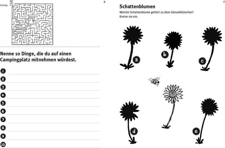 Produktbild Mein dicker Ferien-Rätselblock (Deutsch, Nikki Busch, 2018)